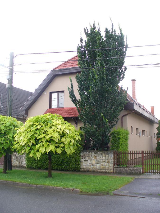 Arnika Vendeghaz Apartment Hajduszoboszlo Exterior photo